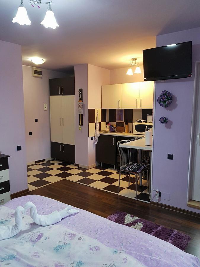 Băile FelixGarsoniera Cristinaアパートメント エクステリア 写真