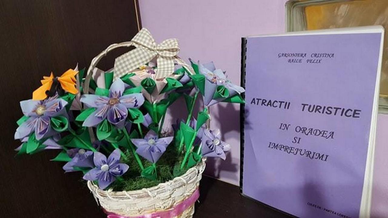Băile FelixGarsoniera Cristinaアパートメント エクステリア 写真