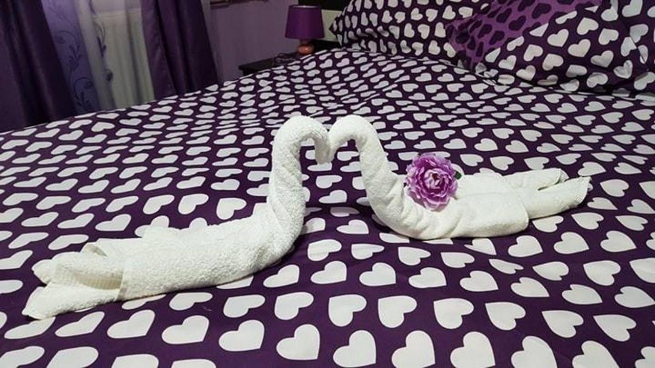 Băile FelixGarsoniera Cristinaアパートメント エクステリア 写真